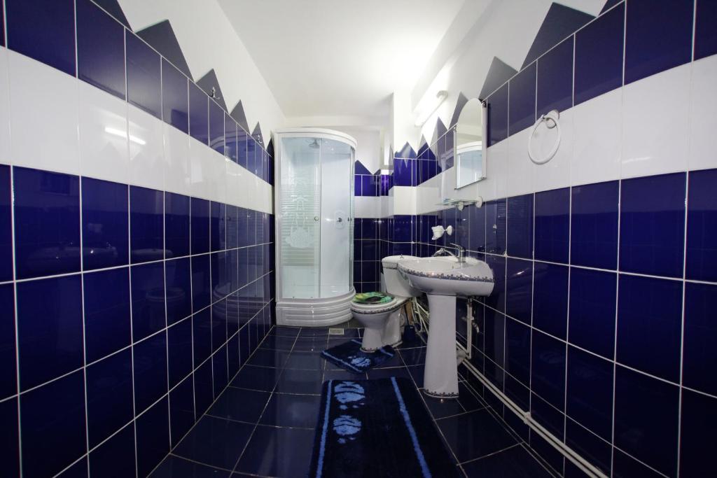 Pension Ramona Zalău Pokoj fotografie